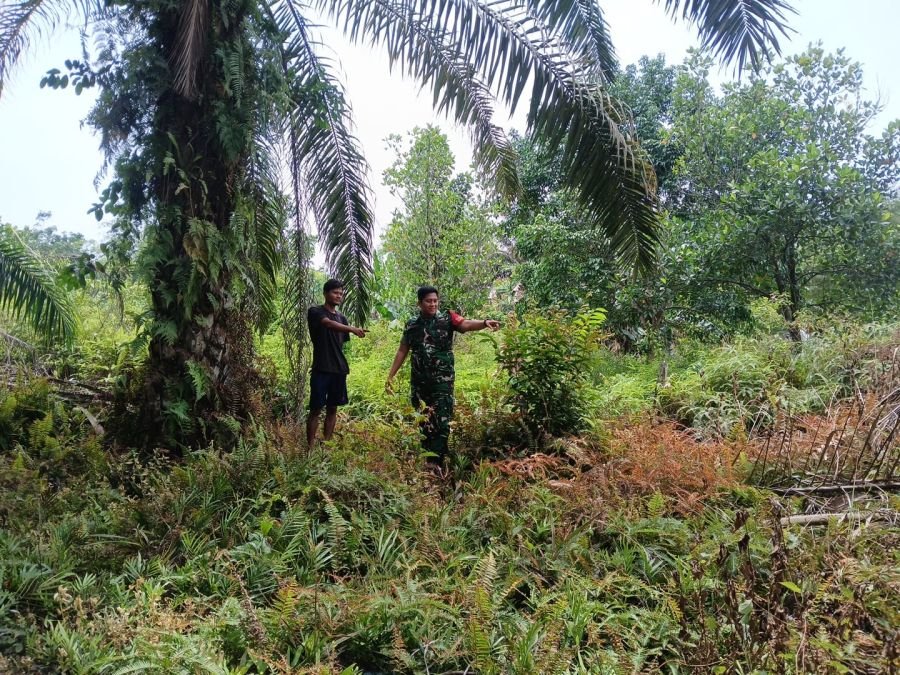 Sigap Cegah Karhutla, Babinsa Sungai Ukai dan MPA Sisir Wilayah Rawan Kebakaran