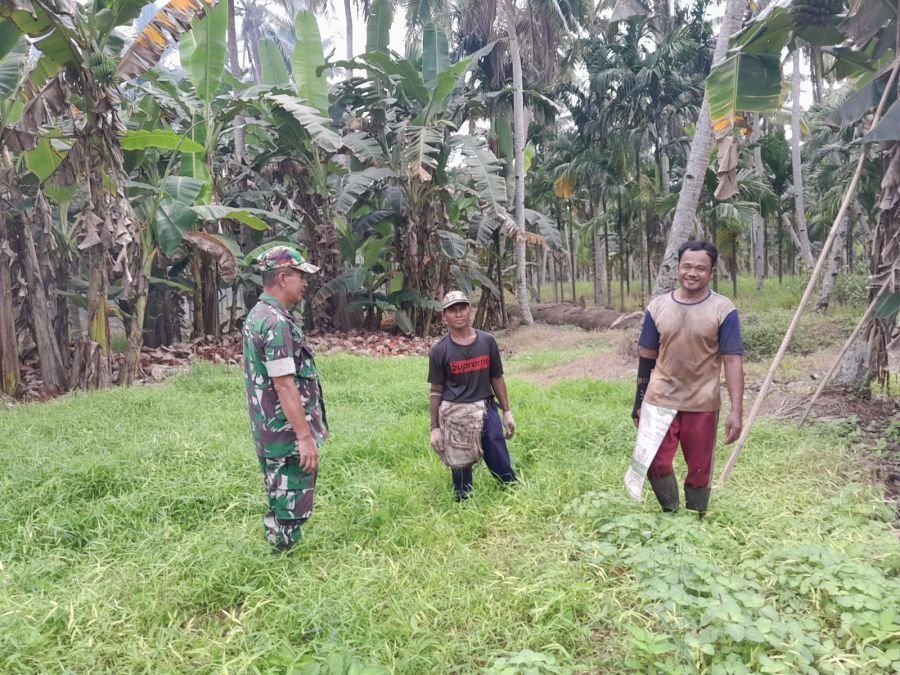 Sinergi Babinsa 07/Reteh dan Pekebun Kelapa Jaga Tapal Batas Pulau Kijang Bebas Karhutla