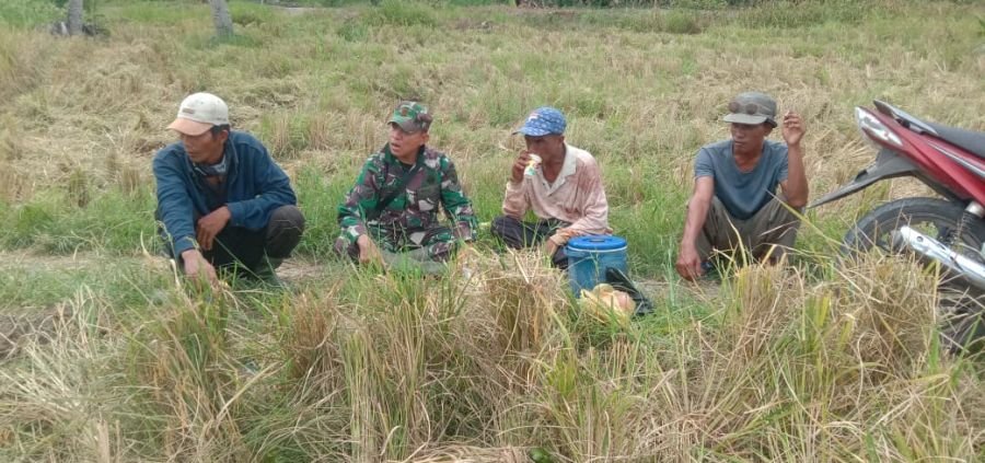 Sinergi Babinsa 07/Reteh dan Petani Benteng Wujudkan Ketahanan Pangan di Inhil