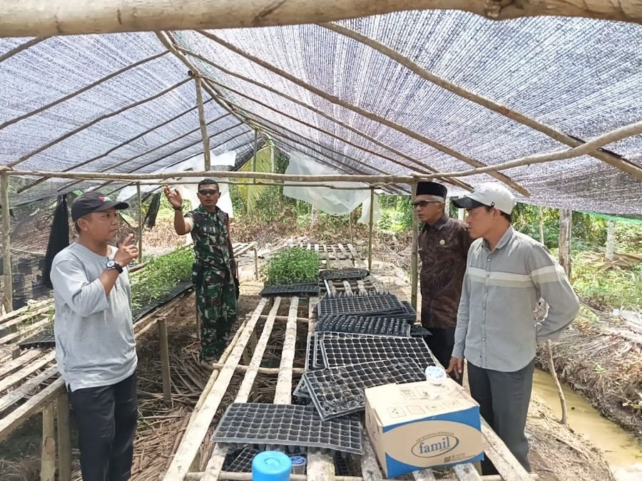 Sinergi Babinsa 09/Kemuning Dan Petani: Komsos Wujudkan Ketahanan Pangan Di Keritang