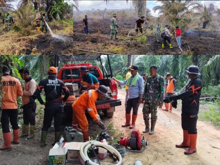Sinergi Babinsa dan Tim Gabungan Berjibaku Padamkan Kebakaran Lahan di Sungai Sialang 