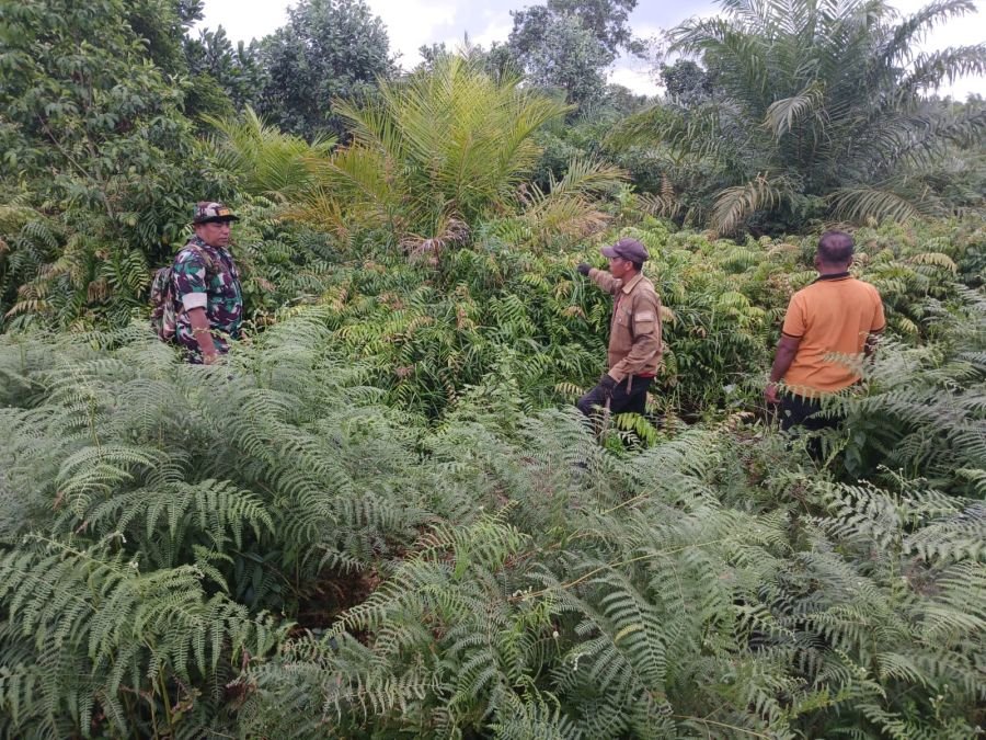 Sinergi Babinsa dan Warga Jadi Garda Terdepan Cegah Karhutla di Lubuk Gaung