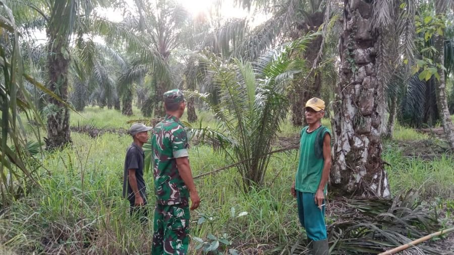 Sinergi Babinsa dan Warga Pasenggerahan Perkuat Patroli Tapal Batas Antisipasi Karhutla