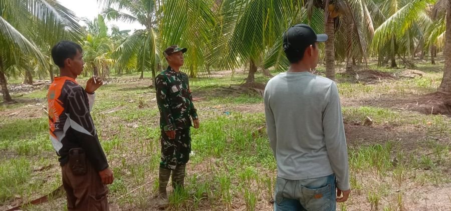 Sinergi Babinsa dan Warga, Patroli Tapal Batas Pastikan Pulau Burung Bebas Titik Api