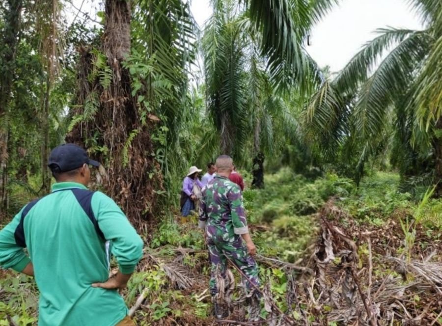Sinergi Babinsa Koramil 05/Rimba Melintang Sertu Ali dan MPA Seremban Jaya Pantau Area Rawan Karhutl