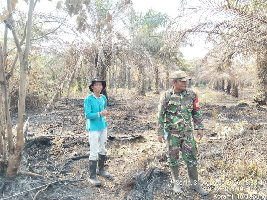 Sinergi Koramil 16/Tapung Bersama Semua Pihak, Kebakaran Lahan di Tapung Hilir Berhasil Dipadamkan