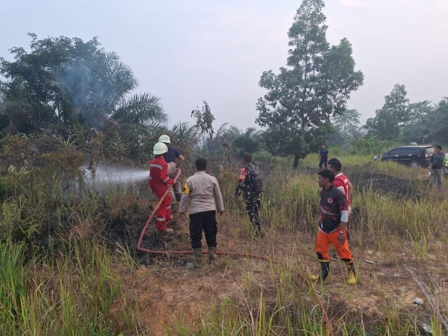 Sinergi TNI, Polri, Damkar, BPBD dan Warga Padamkan Karhutla di Tenayan Raya