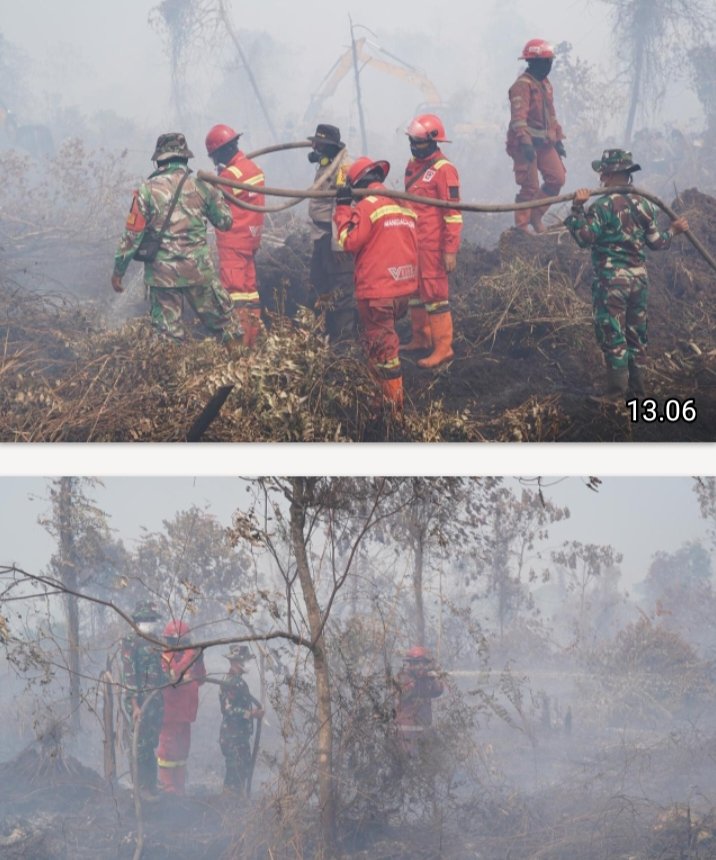 Sinergi TNI, Polri dan Manggala Agni Terus Padamkan Karhutla Riau
