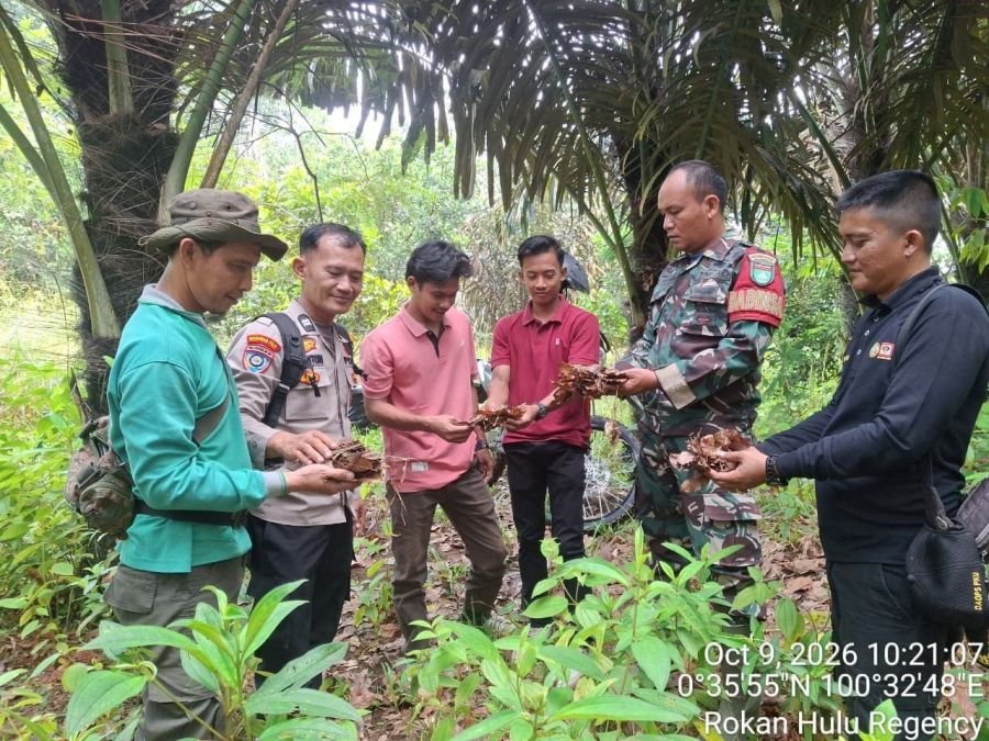 Sinergi TNI-Polri dan Manggala Agni Patroli Karhutla di Wilayah KHDTK Bukit Suligi dan Desa Dayo