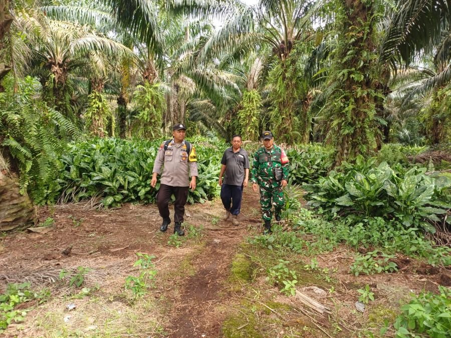 Sinergi TNI-Polri Gelar Patroli Tapal Batas, Wilayah Desa Rotan Semelur Aman dari Karhutla