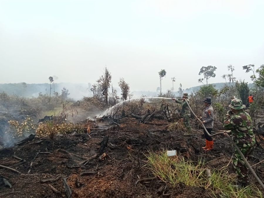 Sinergi TNI-Polri Padamkan Karhutla, Cegah Api Meluas di Wilayah Rokan Hilir