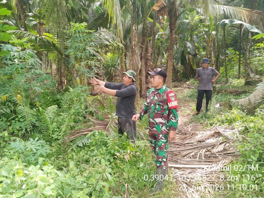 Sisir Tapal Batas Babinsa Tanjung Baru Koramil 02/TM, Pastikan Wilayah Bebas Karhutla