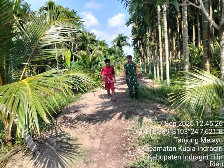 Situasi Aman, Babinsa Koramil 04/Kuindra Patroli Tapal Batas Bersama Warga Tanjung Melayu