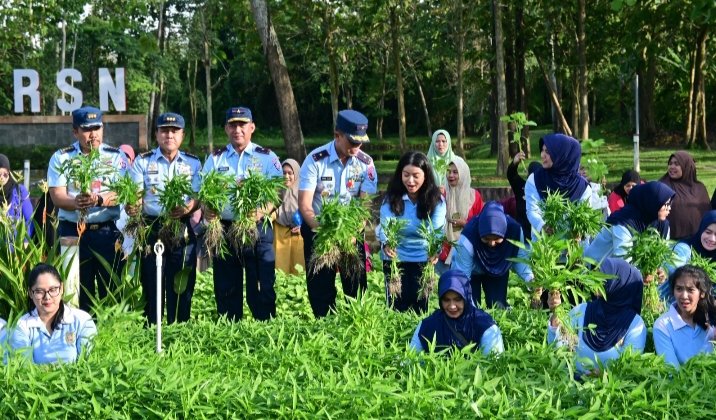 Spesial, Pangkoopsud I Ikut Panen Sayur: Wujud Nyata TNI AU Dukung Ketahanan Pangan Nasional