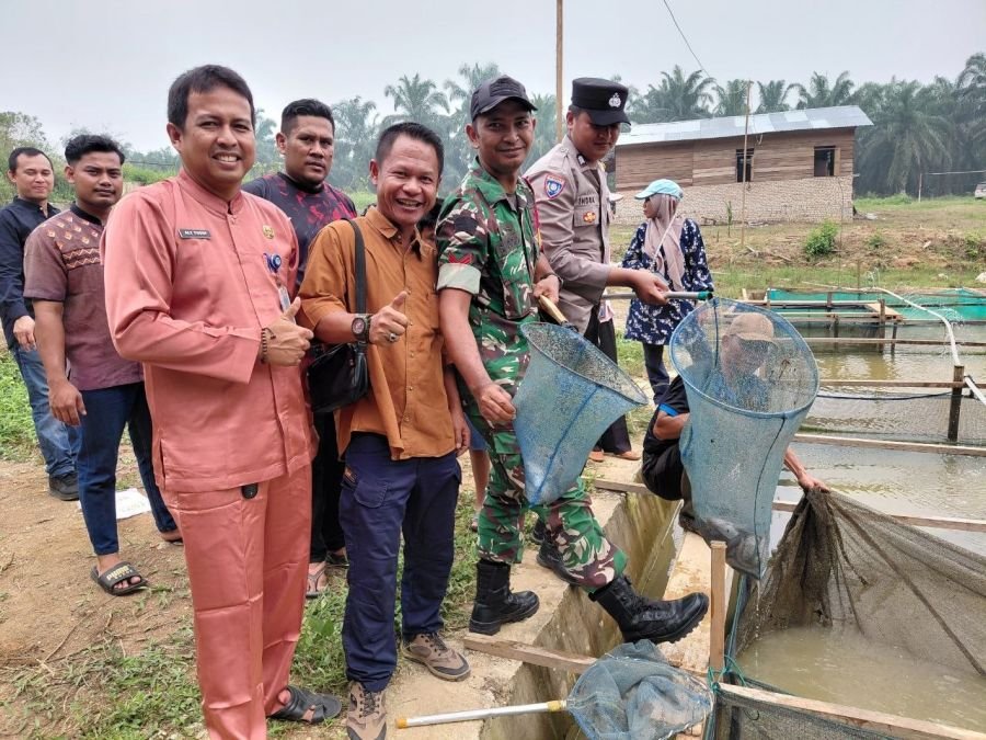 Sukseskan Program Ketahanan Pangan, Pemdes dan Babinsa Koto Tandun Panen Perdana Ikan Lele
