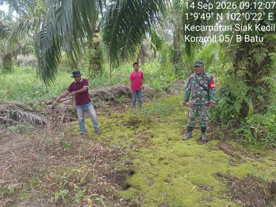 Susuri Perkebunan Warga, Babinsa Koramil 05 Pastikan Wilayah Sungai Linau Aman dari Karhutla