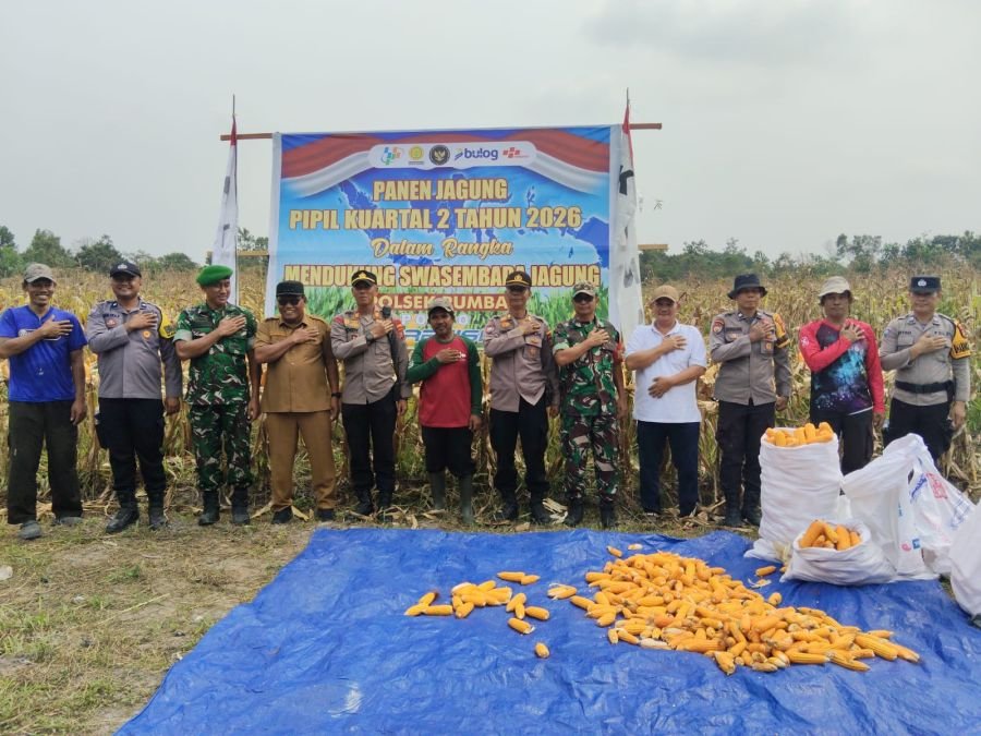 Swasembada Jagung Digenjot, Babinsa dan Polsek Rumbai Kawal Panen Jagung di Okura