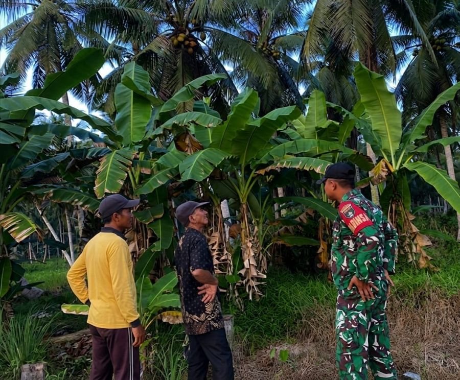 Tak Kenal Libur, Babinsa 03/Tempuling Sisir Tapal Batas Cegah Karhutla