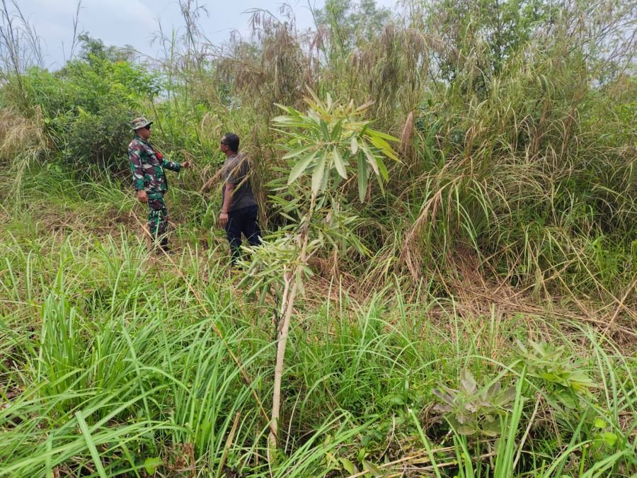 Tak Mau Kecolongan, Babinsa Koramil 04/Lph Pantau Titik Rawan Karhutla di Rumbai Timur
