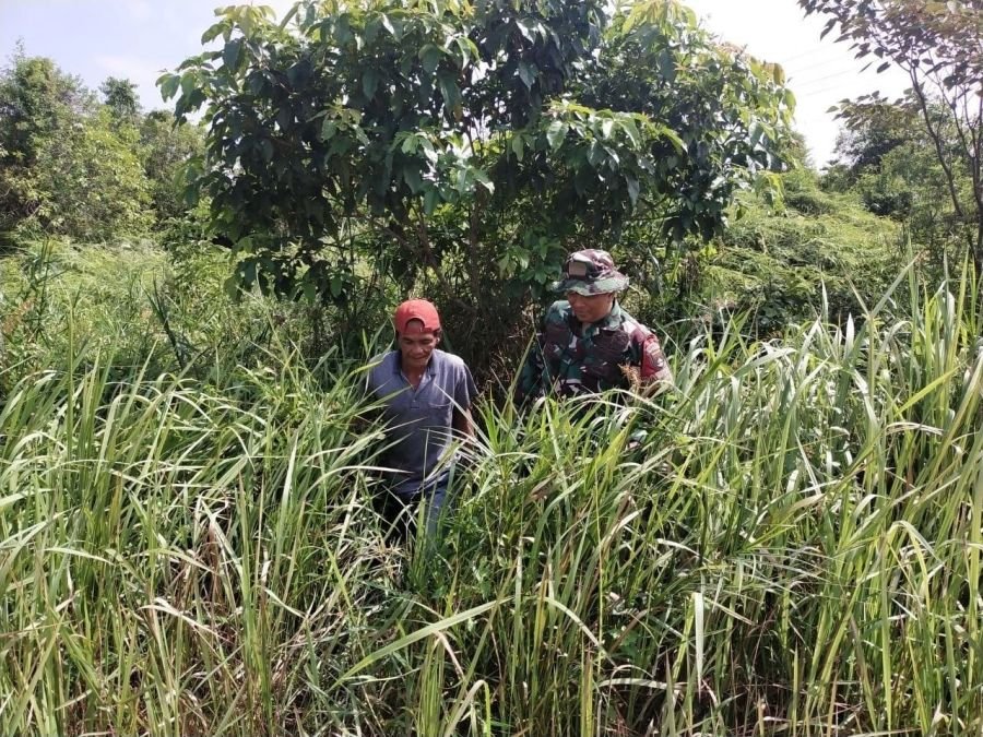 Tak Sekadar Patroli, Babinsa Edukasi Warga Lindungi Lingkungan dari Karhutla