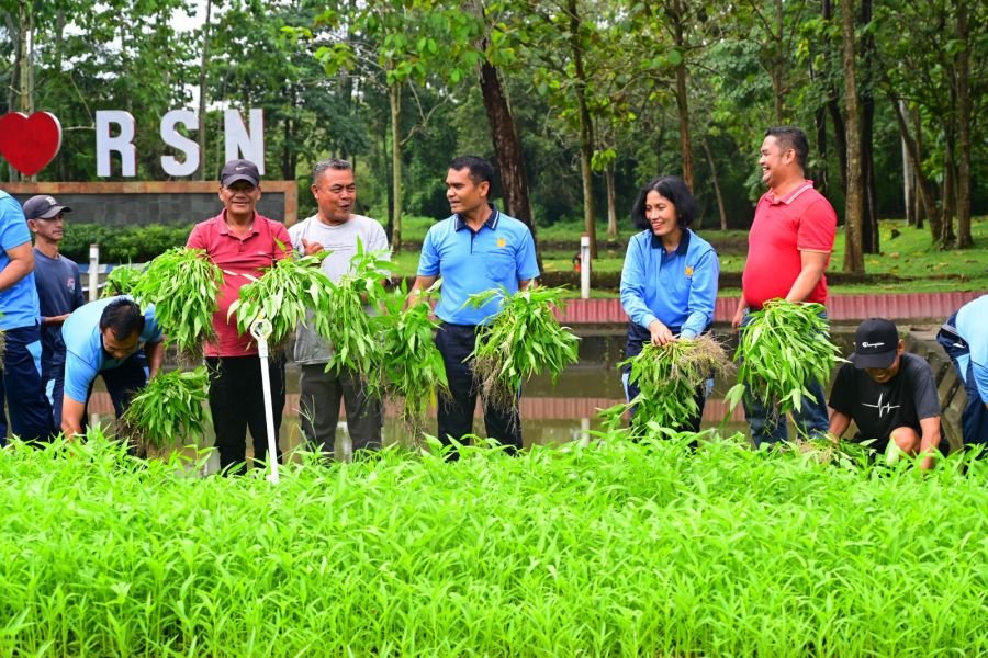 Taman I Love RSN Kembali Panen Sayur Untuk Dibagikan kepada Masyarakat Sekitar