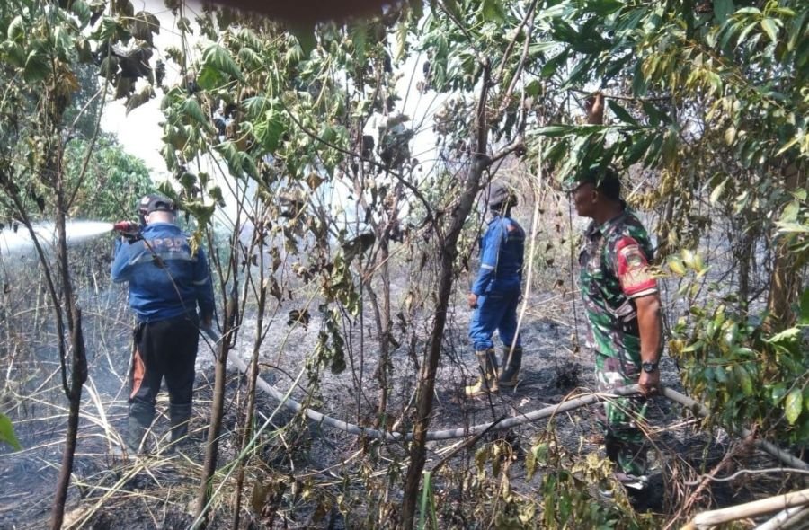 Tiga Hektare Lahan Terbakar, Babinsa dan Tim Gabungan Bergerak Cepat