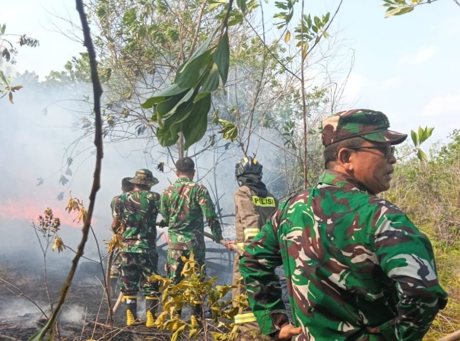 Tim Damkar Kodim 0315/Tanjungpinang Bergerak Cepat Padamkan Karhutla Seluas 6 Hektare di Desa Penaga
