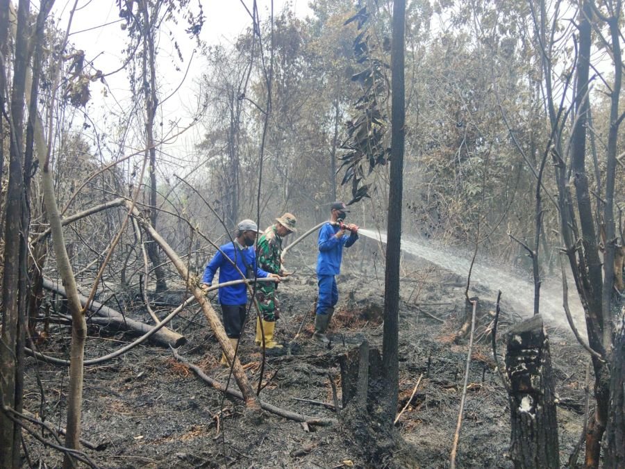 Tim Gabungan Bergerak Cepat Padamkan Karhutla di Tebing Tinggi Okura