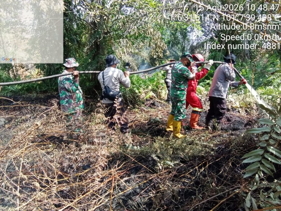 Tim Gabungan Padamkan Api di Tiga Lokasi Sekaligus, Operasi Karhutla Masuk Fase Lanjutan