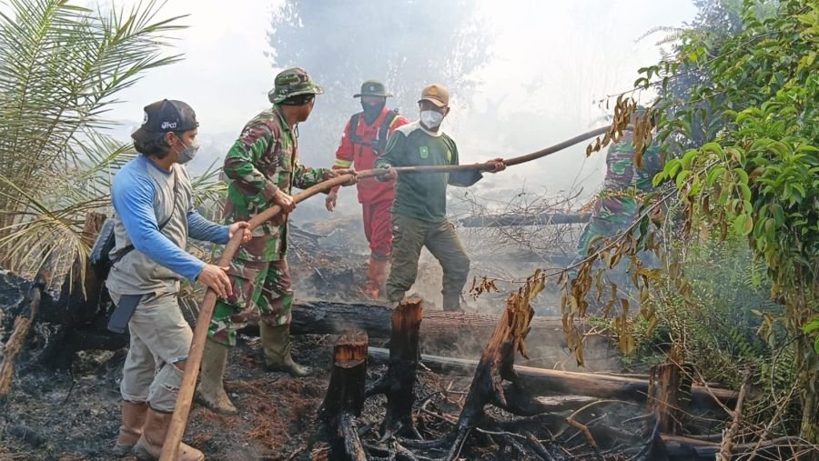 Tim Gabungan Perkuat Pemadaman Karhutla di Dayun Siak, Lebih dari 200 Personel Dikerahkan