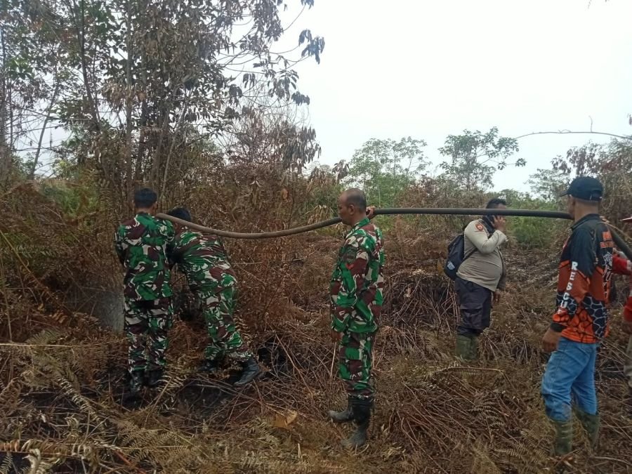 Tim Gabungan Tuntaskan Pendinginan Karhutla di Kelurahan Pergam