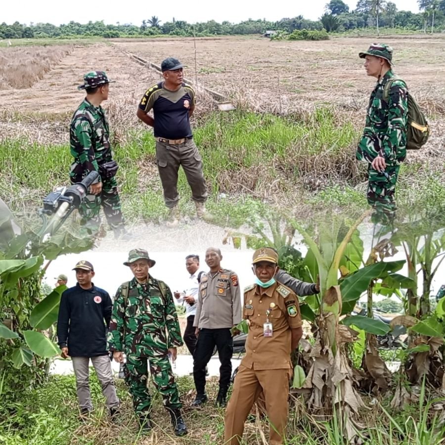 Tim Mabes TNI Tinjau Lahan Rawan Karhutla di Batang Meranti, Perkuat Langkah Pencegahan Dini
