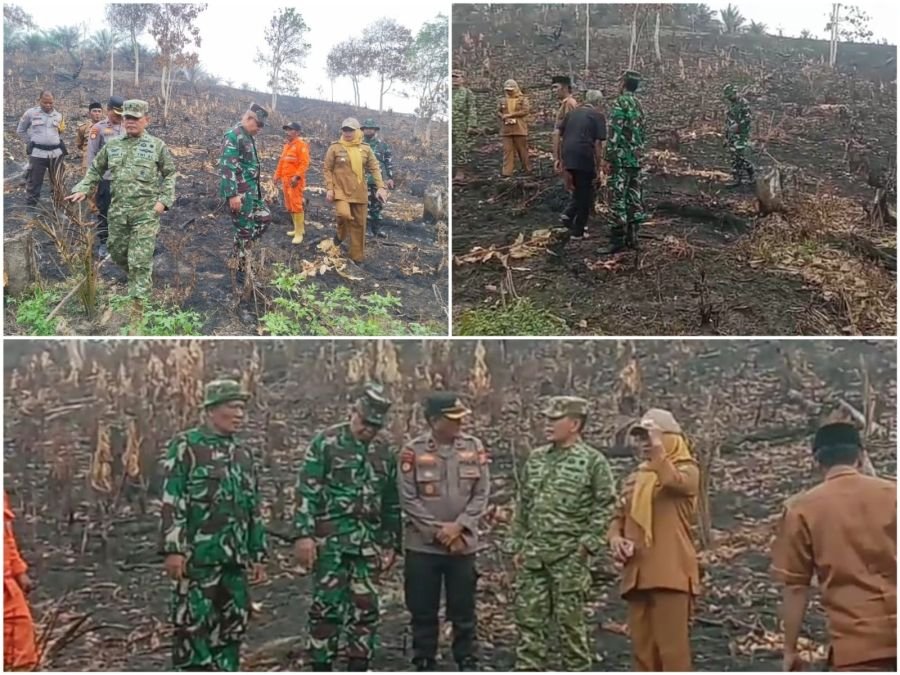 Tim Penyuluhan Dari Mabes TNI Tinjau Lokasi Karhutla di Dusun Sukajadi Kelurahan Selensen