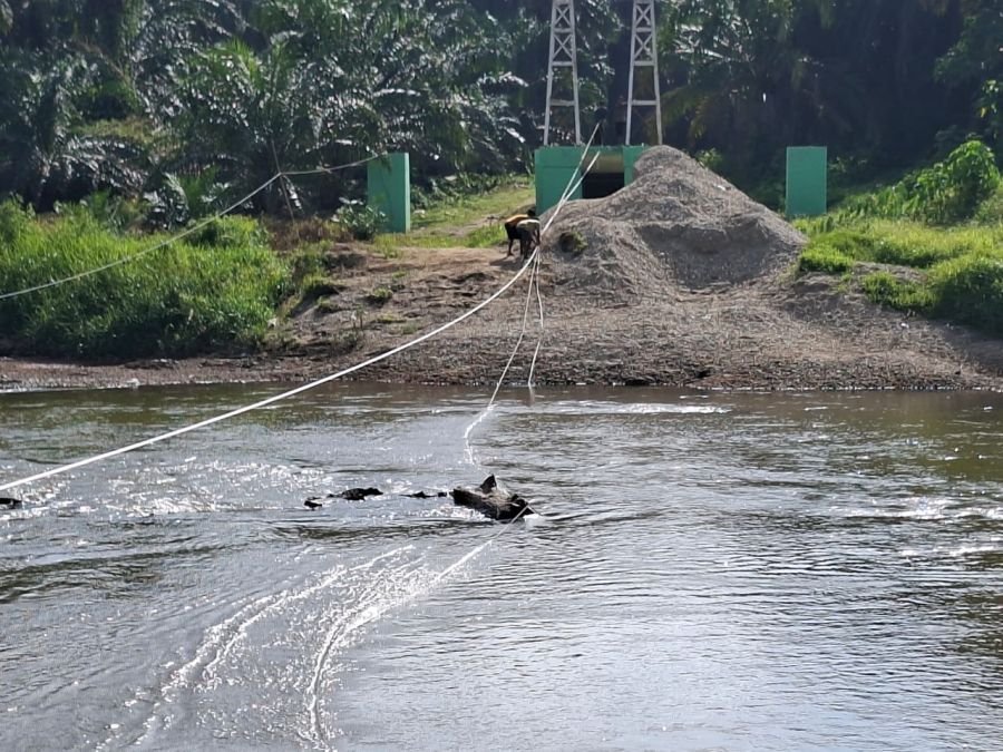 Satgas Kodim dan Warga Tarik Seling Jembatan Garuda Muara Musu Rohul