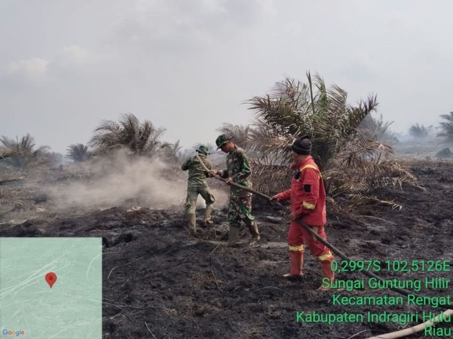 Tim Satgas Koramil 01/Rengat Melaksanakan Pemadaman Kebakaran Hutan Di Desa Sungai Guntung Hilir