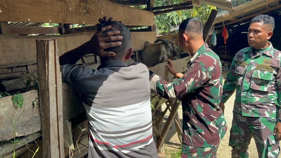 Tingkatkan Ketahanan Pangan, Personel Kompi Peternakan Dalami Perawatan Kambing Kacang