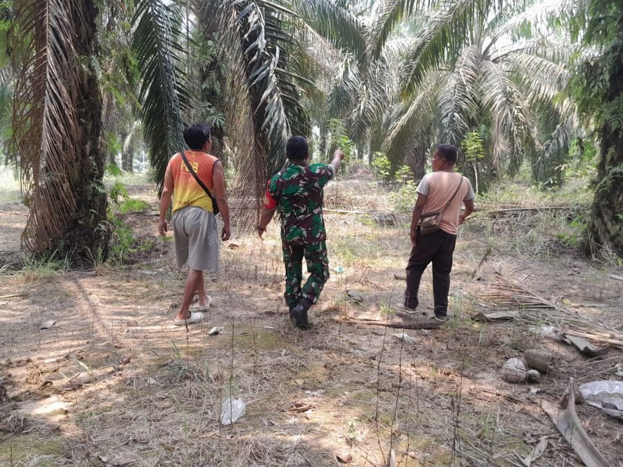 Tingkatkan Kewaspadaan Karhutla, Babinsa Koramil 04/Perawang ajak warga laksanakan Patroli Karhutla
