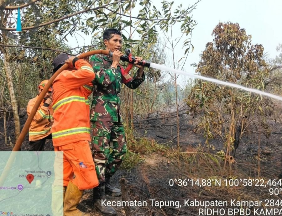 Titik Demi Titik Karhutla Yang Melanda Wilayah Tapung Dapat Dipadamkan Dengan Cepat