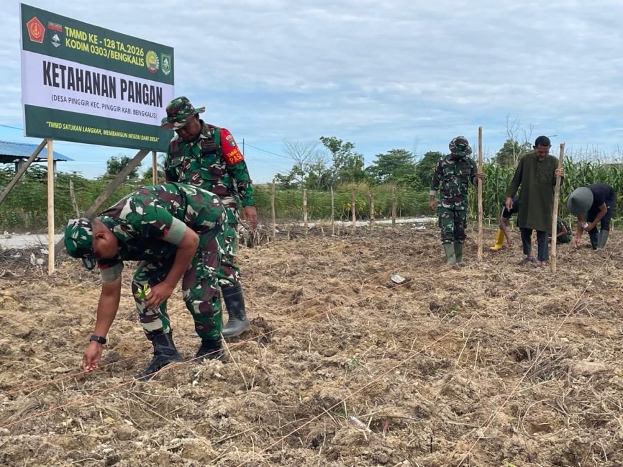 TMMD Ke-128 Kodim 0303/Bengkalis Dorong Kemandirian Pangan Masyarakat