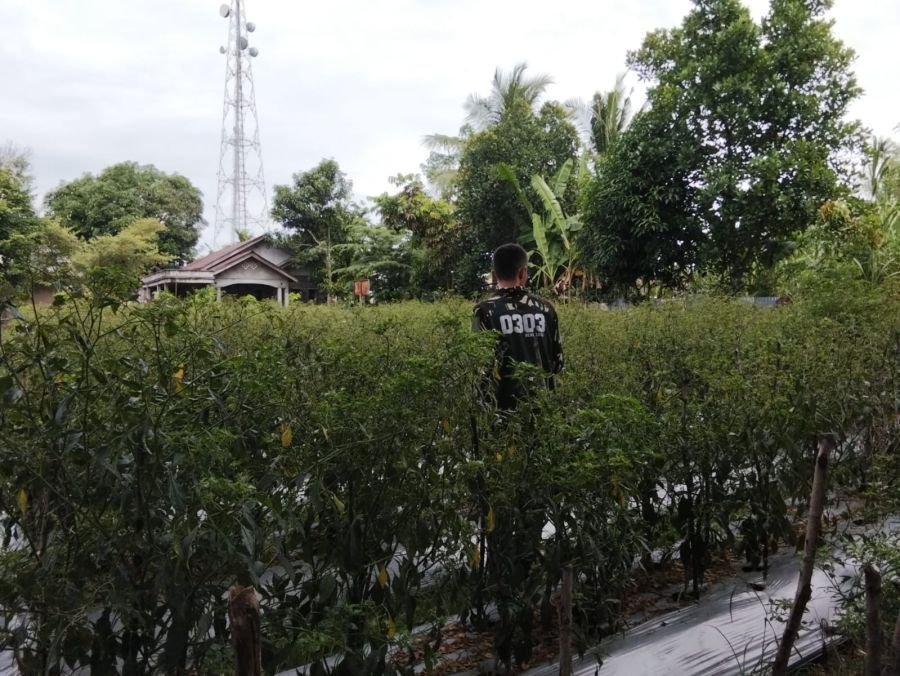 TNI AD Siap Mendukung Ketahanan Pangan
