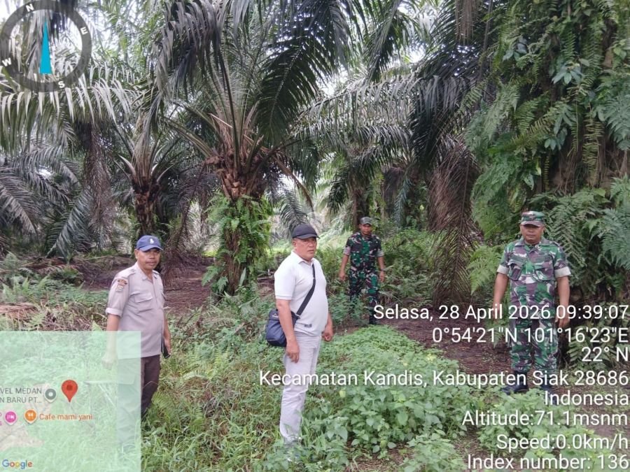 TNI dan Warga Sisir Kandis, Tidak Ditemukan Titik Api