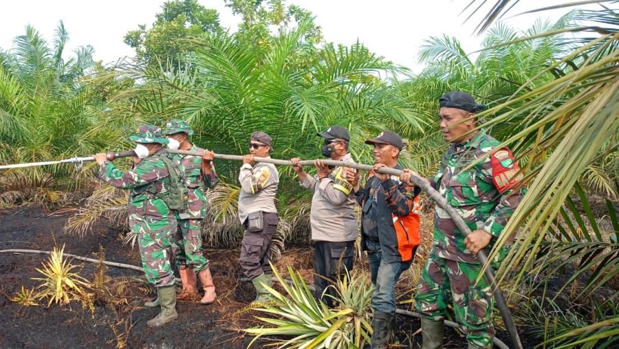 TNI-Polri Bersama BPBD Padamkan Api di Lahan Sawit Sungai Rukam