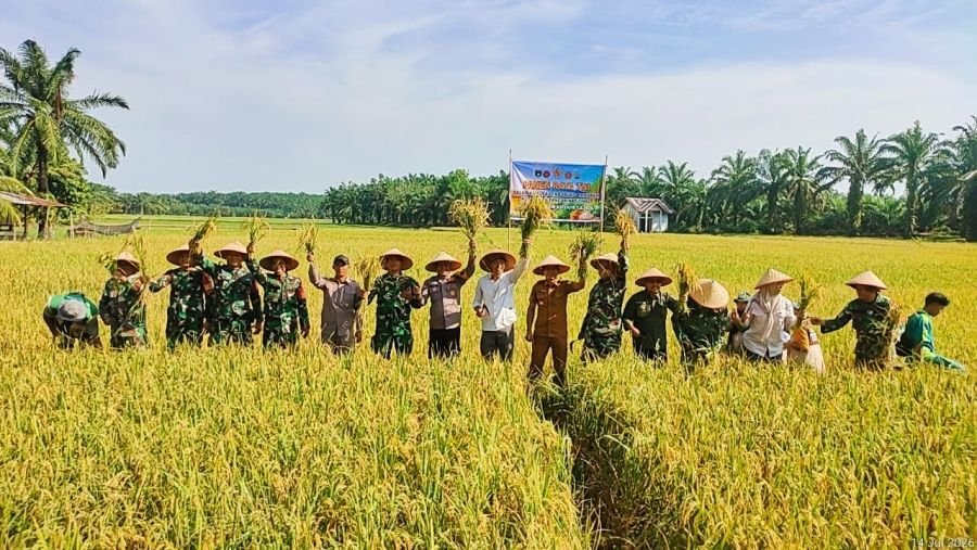 TNI Polri bersama Warga Panen Raya Padi 