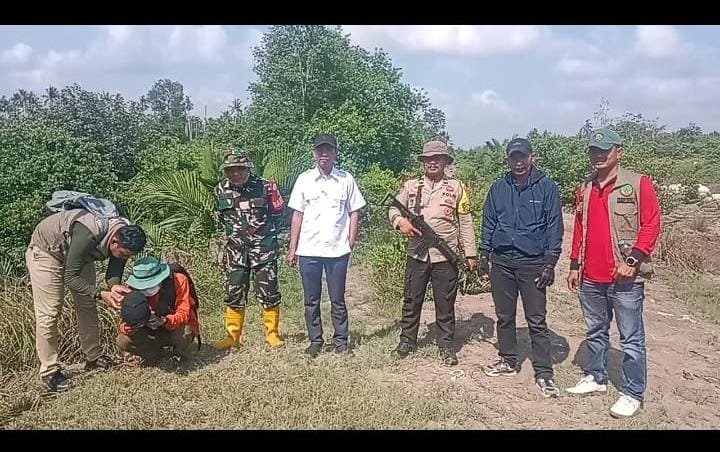 TNI-Polri pulau burung dan BKSDA Bergerak Lacak Jejak Harimau Sumatera di Desa Sungai Danai