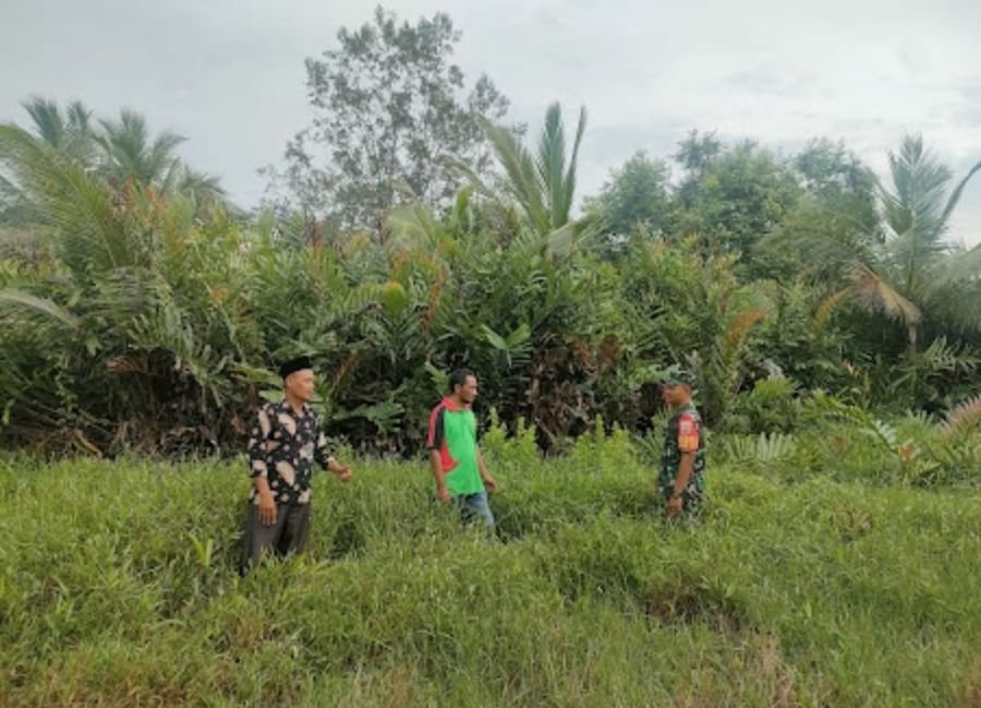 TNI Sigap! Babinsa & Masyarakat Desa Tanjung Cegah Karhutla