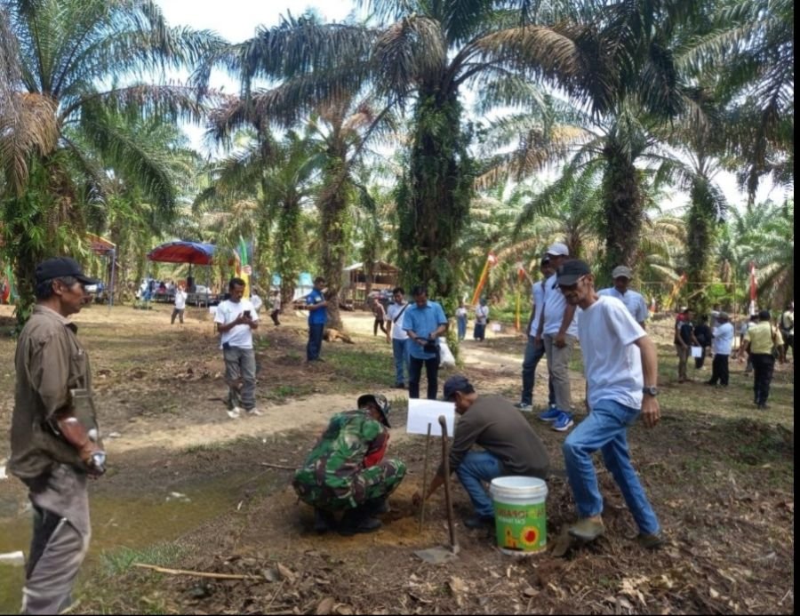 Babinsa Koramil 16/Tapung Tanam Matoa, Dorong Warga Peduli Lingkungan