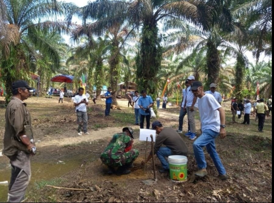 Upaya Melestarikan Lingkungan, Babinsa Koramil 16/Tapung Tanam Pohon Bersama Masyarakat