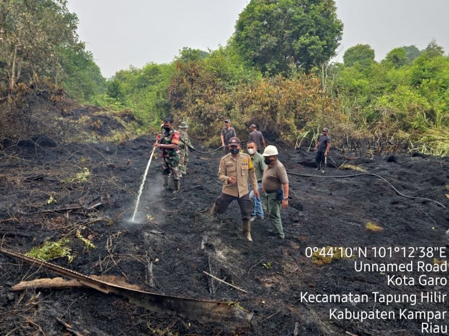 Upaya Meminimalisir Dampak Kerugian Masyarakat,Karhutla Wilayah Tapung Dapat Dipadamkan Dengan Cepat