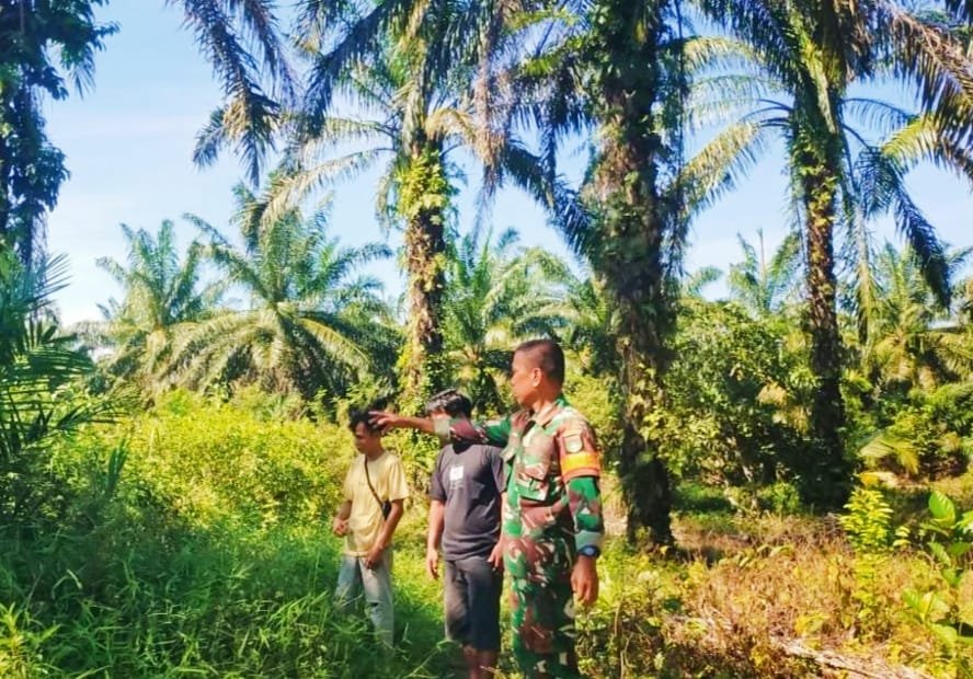 Upaya Pencegahan Karhutla Dilakukan Babinsa Koramil 02 Rambah Kodim 0313/KPR