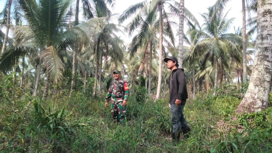 Upaya Pencegahan Karhutlah, Babinsa Koramil 10/Pelangiran Rutin Lakukan Patroli Tapal Batas